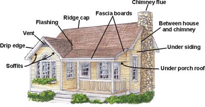 FAQs of Bee Infestations